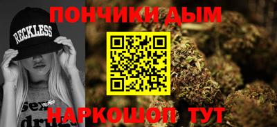 индика Усть-Илимск