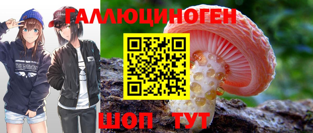 Псилоцибиновые грибы MAGIC MUSHROOMS  Вход с VPN  Мценск 